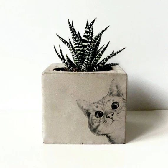 Cat Printed Concrete Planter, Animal Prints Gift, Customizable Succulent Holder, Concrete Cactus ... | Etsy (US)
