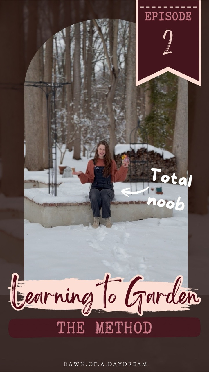 Teen tiny greenhouses in the snow?! 🥺❄️🌱 this may be the cutest seed starting method I’ve ever seen

Will it work, I don’t know, I’m totally new to gardening 😶 but I really hope so. Follow along and we’ll find out together! 

If you’ve tried winter sowing before, what are your best tips?? Is there another method you prefer ?? 
Send me all your best advice please … I need it 😅🙏

And if you’re new here and want to see the DIY garden project that inspired this whole planting adventure, head to my page and check out my raised bed highlight, I documented the full build from start to finish! 

............................................................................ 

Old house, big dreams and a girl with zero experience figuring it out as she goes! 
This isn’t an expert DIY account. It’s a “you’ve got this too” kind of space 🫶
Follow along and let’s learn together! 💗

🎥 Want more than the pretty before and after? Stories are the heart of the project , unfiltered + in-progress
💌 It’s official: our cozy corner of the internet is open! Swing by the website , I’d love to see you there.

............................................................................

#DIYGardenProject #WinterSowing #DIYForBeginners #RaisedBedGarden #CreativeHomeProjects
DIY raised bed garden project | winter sowing seeds in mini greenhouses | beginner gardening experiment from seed | DIY backyard garden build and planting | starting seeds for a cottage garden | learning gardening after building raised beds | DIY outdoor garden project for beginners | growing flowers from seed in a DIY garden | creative home and garden projects | transforming a backyard with DIY garden beds