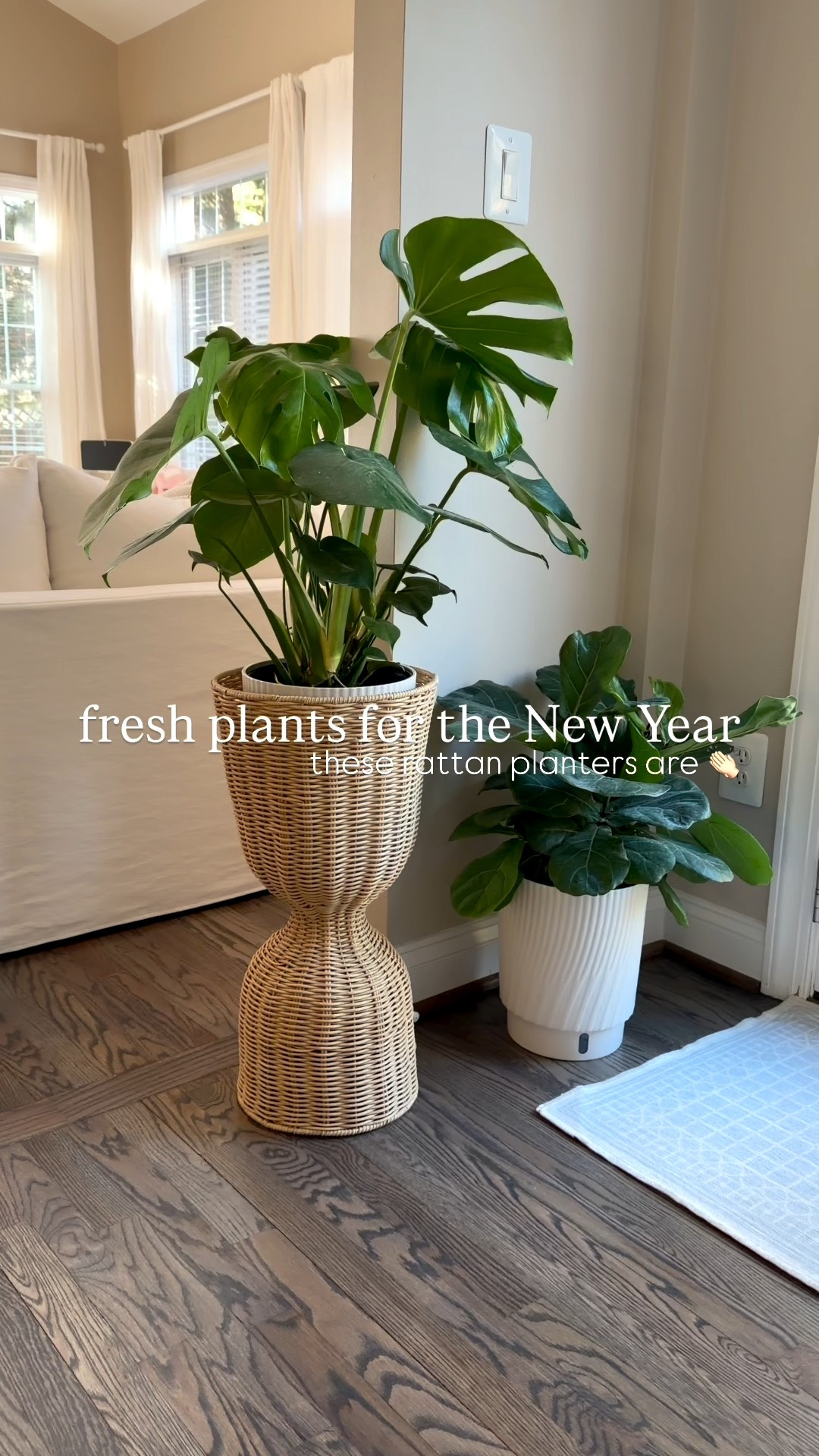 Don’t be afraid to add live plants indoors, love cozy corners with fresh plants & rattan planters 

#LTKSaleAlert #LTKHome #LTKFindsUnder50