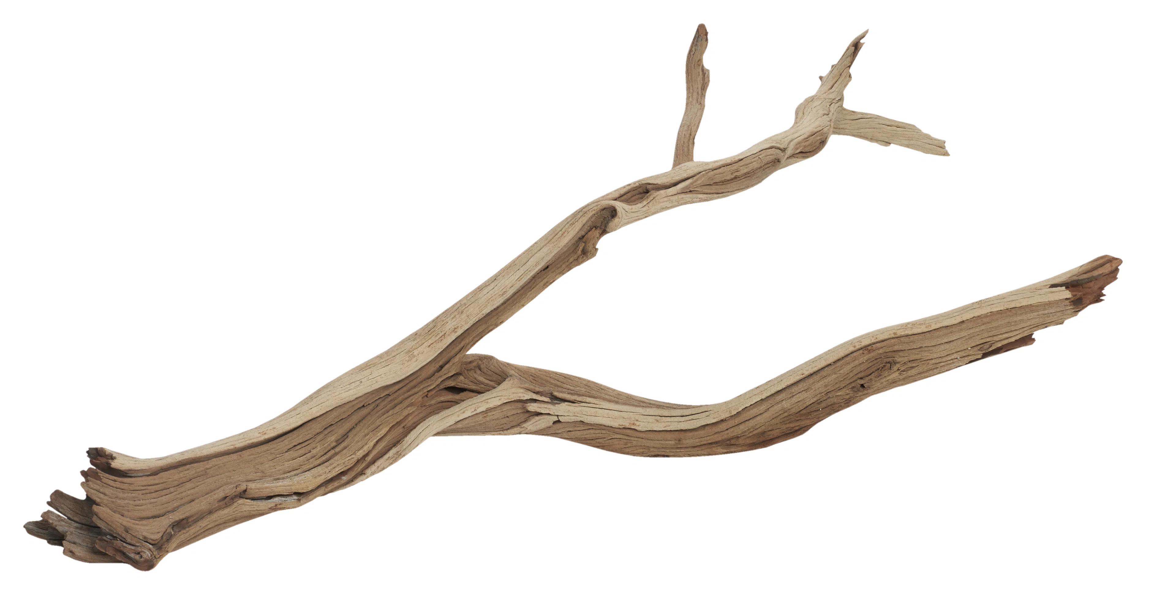 15'' Faux Ghostwood Branch (Set of 3) | Wayfair North America