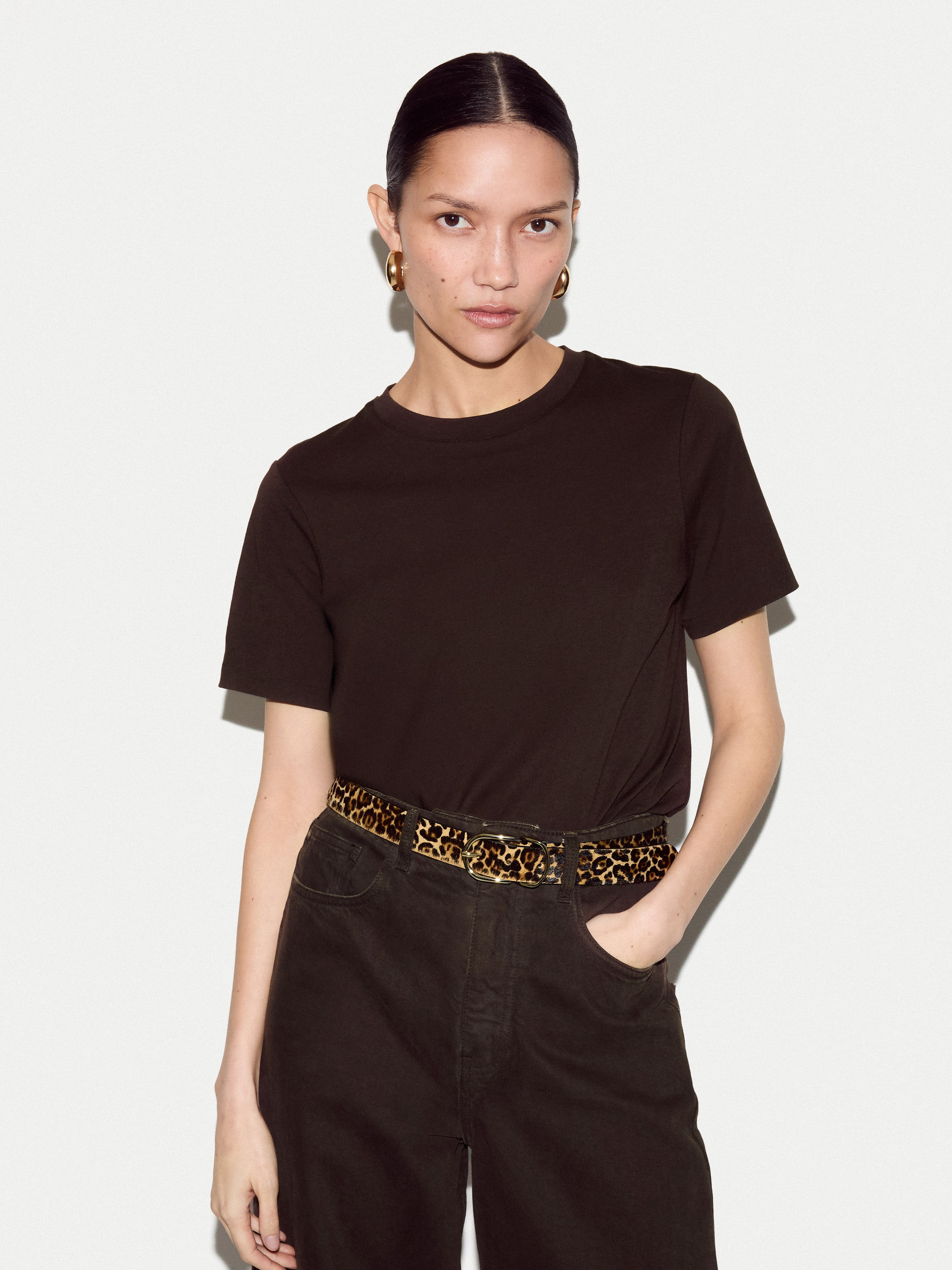 Supima Cotton Crew Neck T-shirt | Dark Brown | Jigsaw (UK)