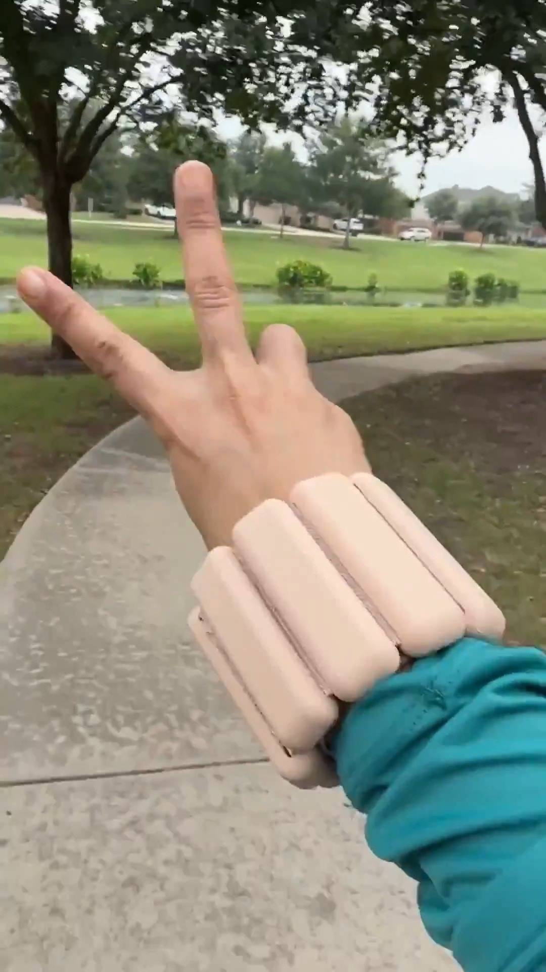 I love wearing my Bala Bangles on walks to add a little more resistance to regular walk. I wear the 1lb ones!

#LTKActive #LTKselfcare #LTKfitnessgoals