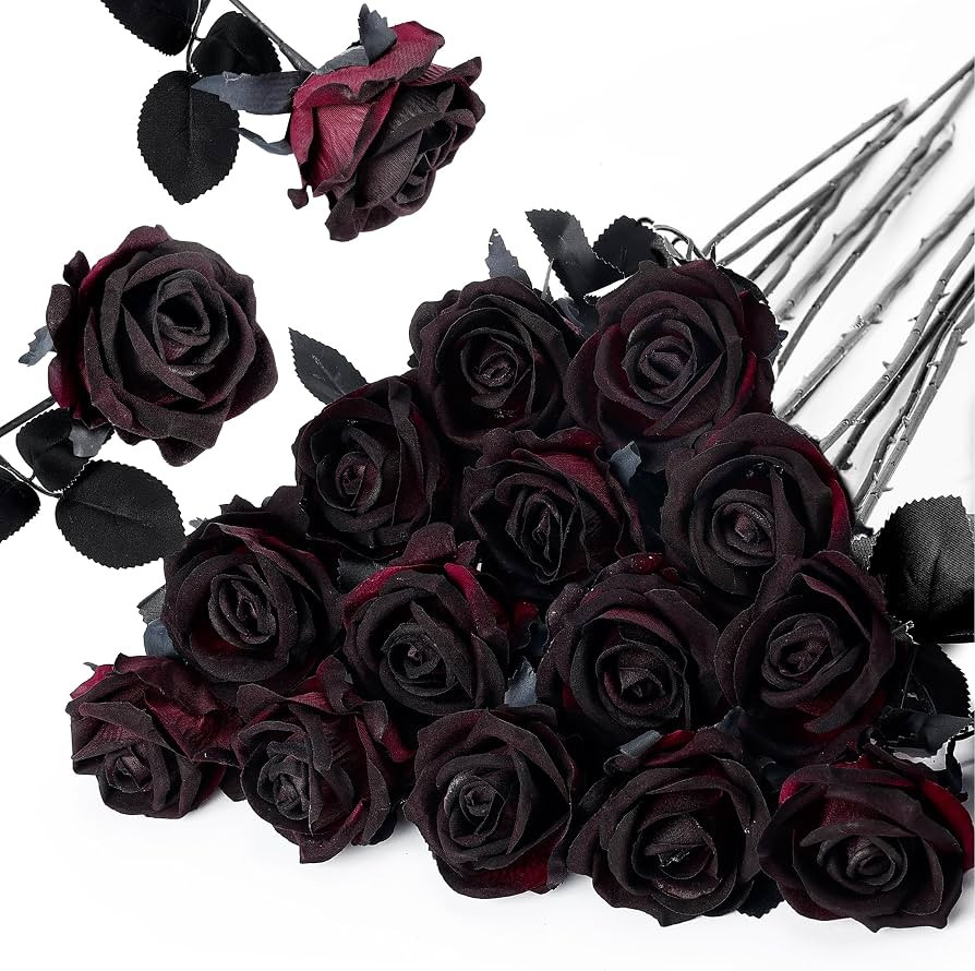 Auihiay 14PCS Black Burgundy Roses, Artificial Roses, Halloween Flowers | Amazon (US)