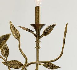 Botanical Forged Iron Oval Chandelier (50") | Pottery Barn (US)