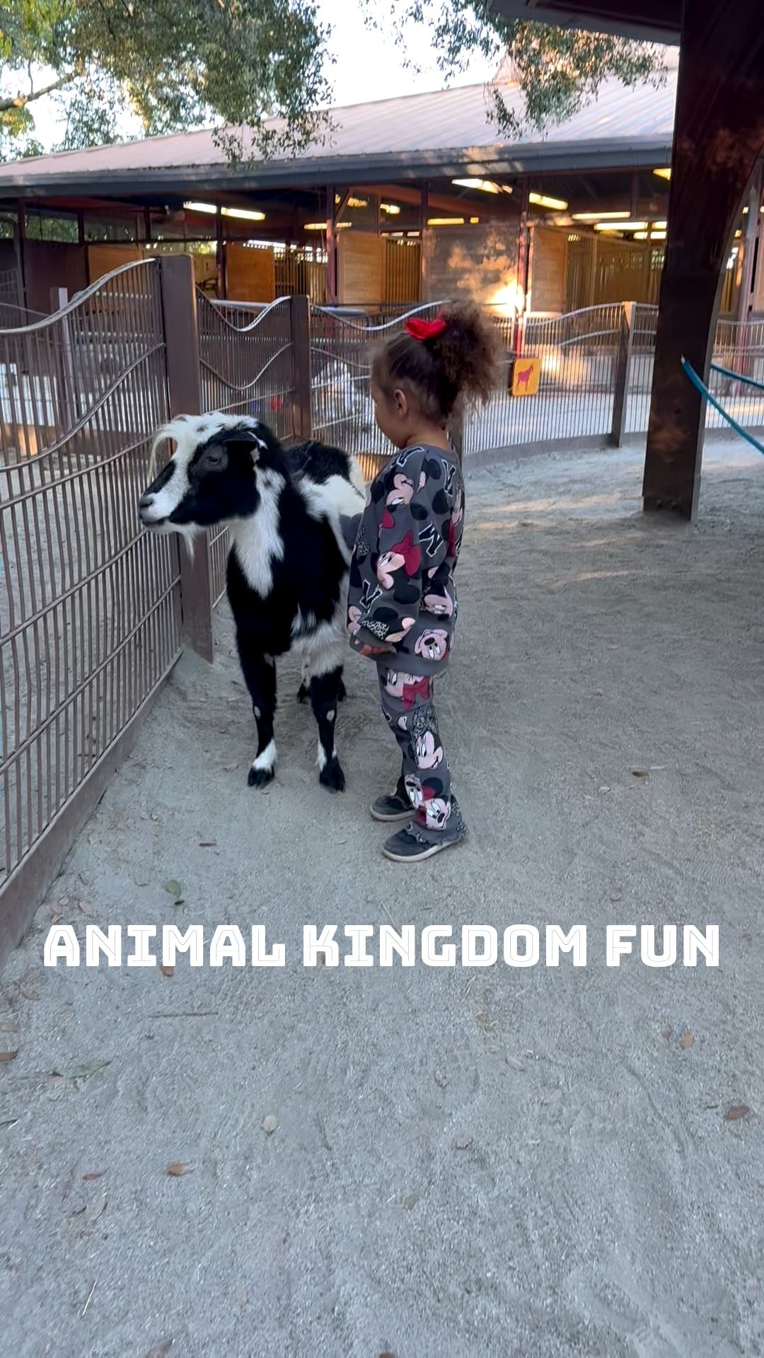 When your Disney day includes Minnie vibes and making goat friends 🐐💗 Loved this matching set for an easy, comfy Animal Kingdom outfit—mom win

#LTKootd #LTKKids #LTKmomlife