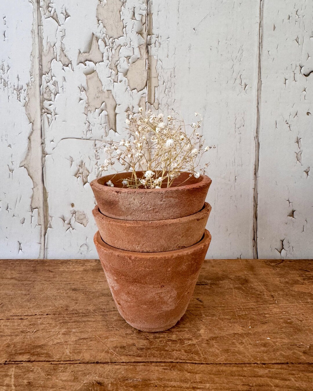 Set of 3 Terra Cotta French Seedling Pots - Etsy | Etsy (US)