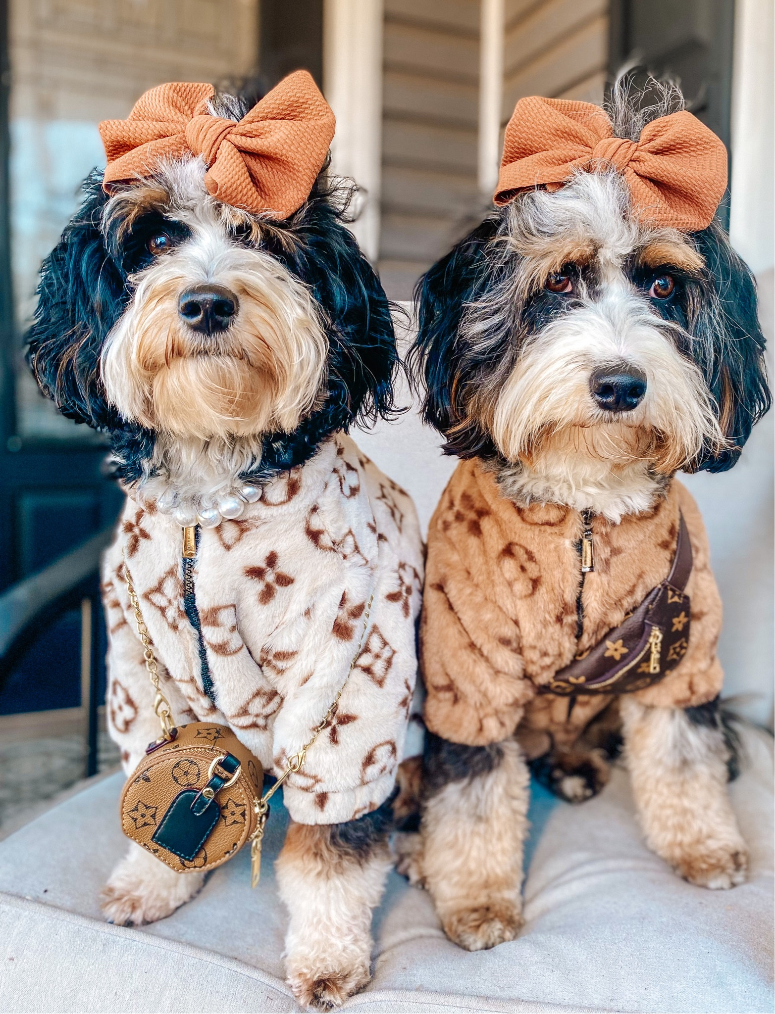 Louis pouch hold an FN😎👜

Shop our exact jacket and purses @shopthepawster and use code DOODLES10 to save 💰

Linked similar options if they’re sold out :) 

#LTKunder50 

#LTKSeasonal #LTKitbag