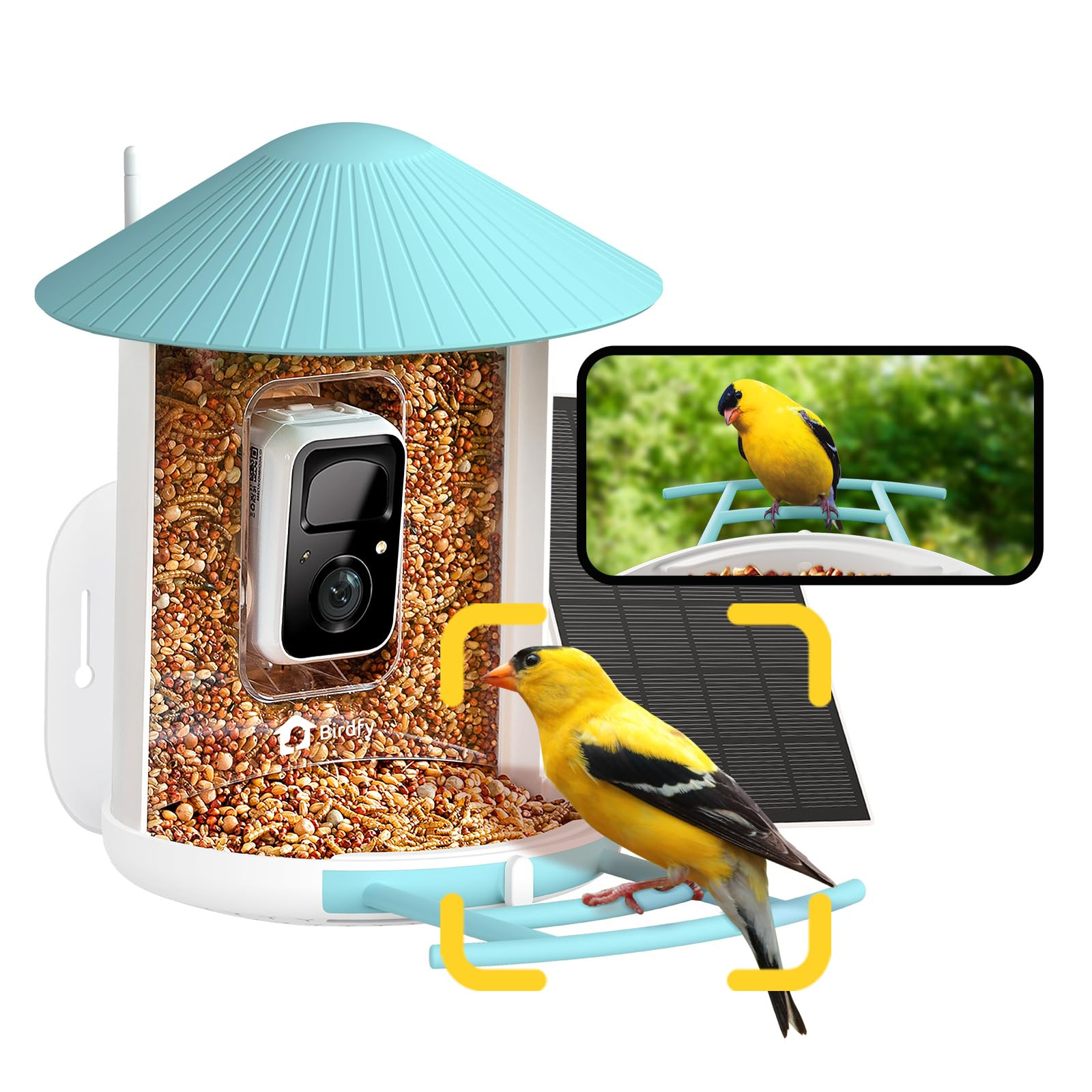 NETVUE by Birdfy Smart Bird Feeder with Camera – AI Identifies Birds Species 2MP Night Vision &... | Amazon (US)