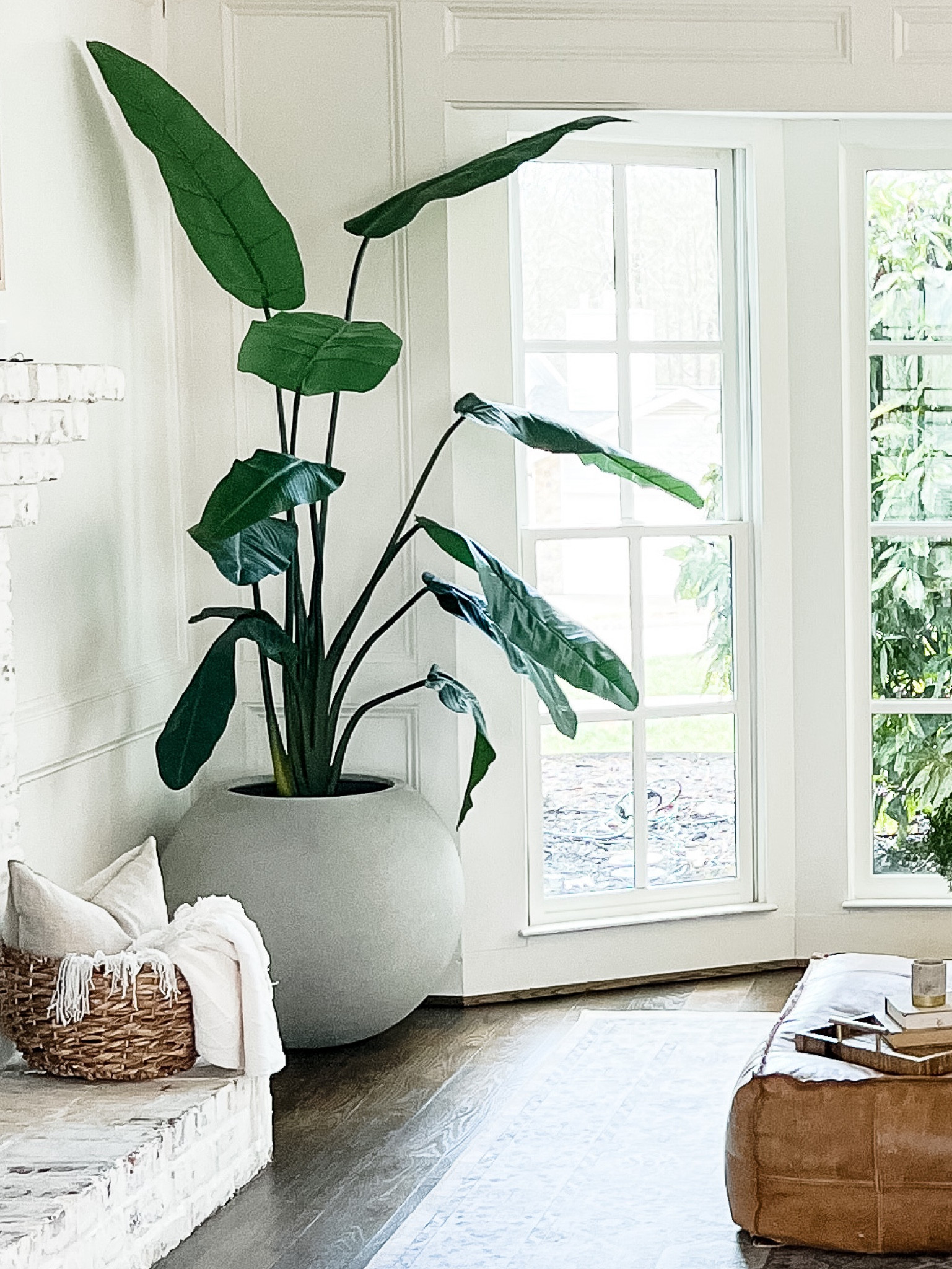 Extra large concrete planter. Come in grey / black / & white. This is the large size. 26” diameter. 

Planter / modern planter / pot 

#LTKstyletip #LTKFind #LTKhome