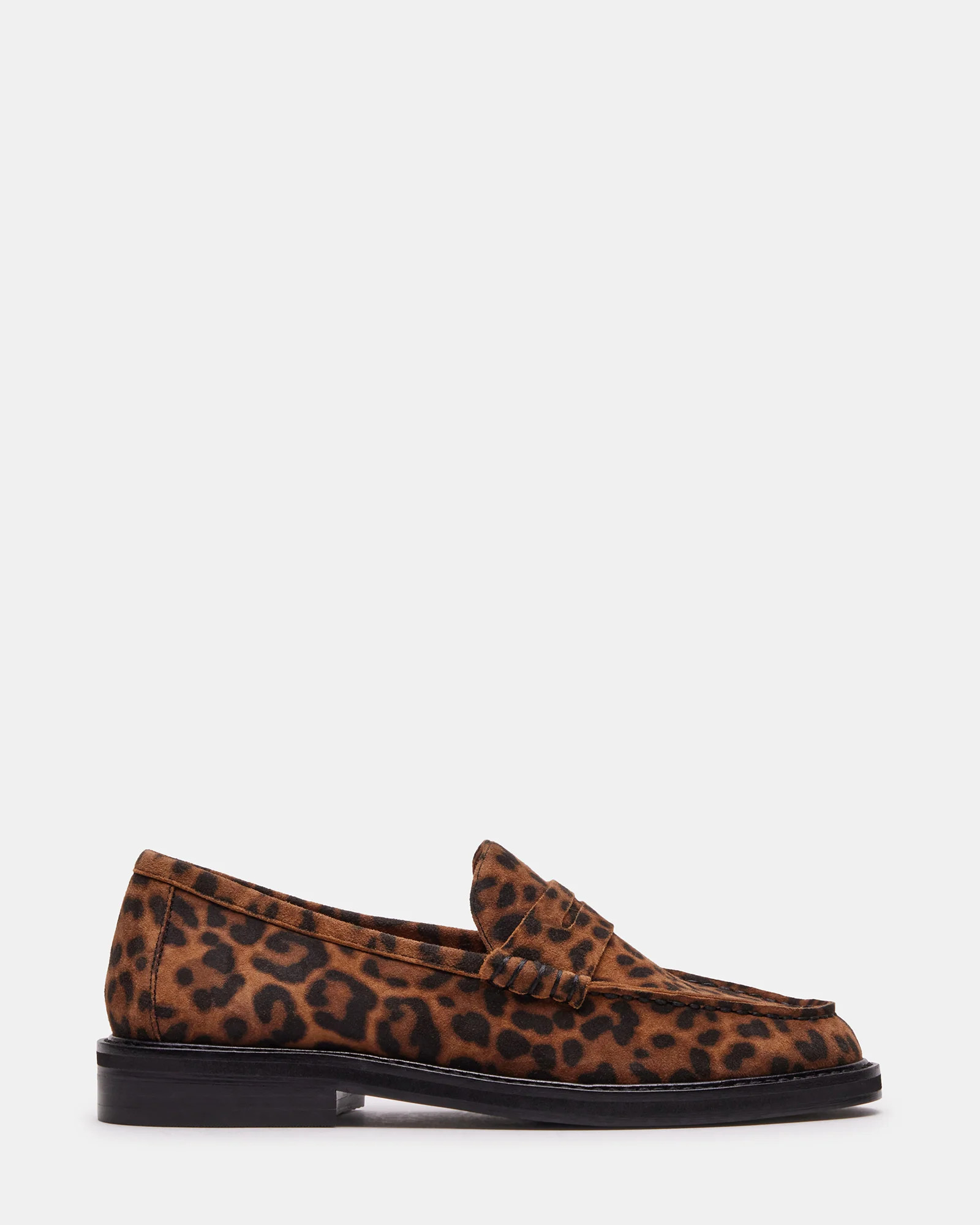 Madison Leopard | Steve Madden (US)