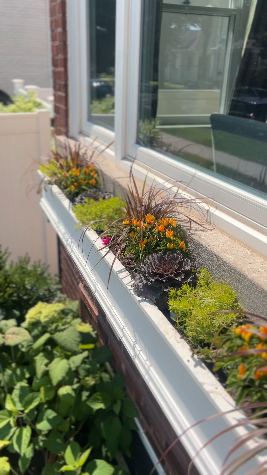 If you want your plants to thrive during the short fall season, you've gotta use the right products. Sharing my go-to gardening products from @loweshomeimprovement. #ad #Lowespartner 

#LTKHome #LTKSeasonal #LTKFallSale