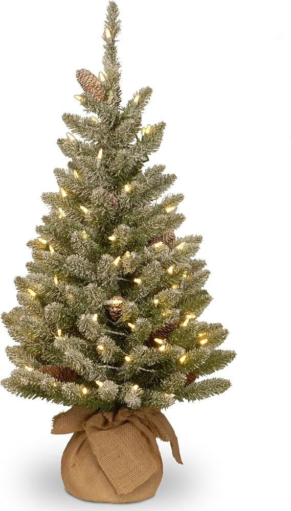 National Tree Company Pre-lit Artificial Mini Christmas Tree | Includes Small White LED Lights an... | Amazon (US)