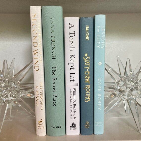 Set of Aqua Mint Blue and White Cream Books for Home Decor  | Etsy | Etsy (US)