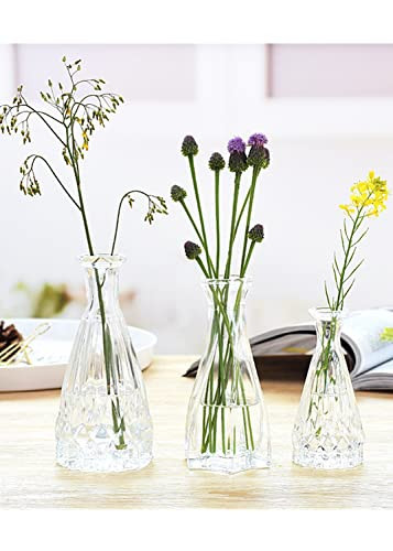 Small Glass Vase for Centerpieces Set of 3,Glass Bud Vase Hydroponic Vase,Mini Table Vase Clear Flower Vase Decorative for Wedding Farmhouse Party Home Decor(clear 5) | Amazon (US)