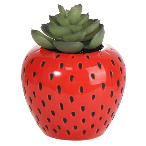 Mini Succulents in Red Strawberry Pot, 4.8"




	
		
		
			
				5
			
			
				(
				3
				)
			
	... | At Home