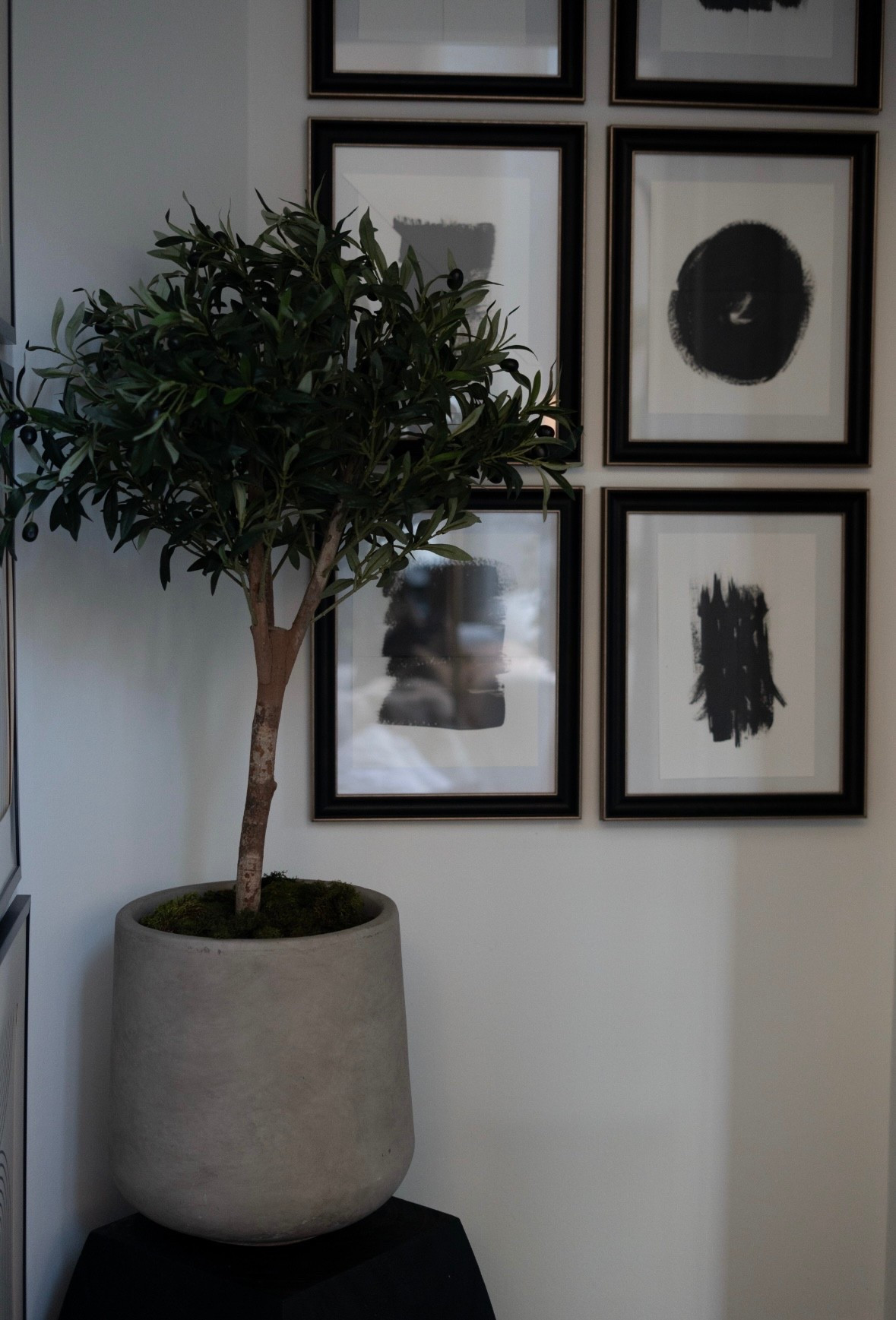 I’m obsessed with how this little corner came together! Proof that even the smallest spaces can make a BIG design statement. The sculptural planter, lush greenery, and crisp black-and-white gallery wall add the perfect mix of modern, organic, and elevated style. It’s minimal, intentional, and somehow still so cozy.

This is one of my favorite ways to bring life into a home … layered textures, timeless artwork, and a statement plant to ground the space. A simple corner, completely transformed!  



#LTKHome #LTKSaleAlert #LTKOver40