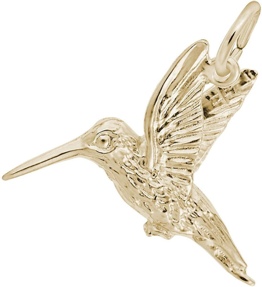 Rembrandt Hummingbird Charm | Amazon (US)