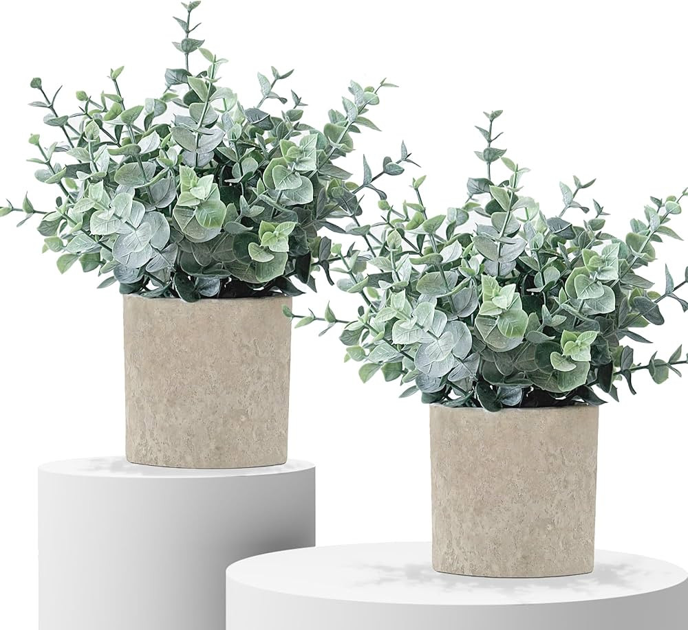2 Pack Fake Plants Eucalyptus Small Potted Artificial Plants Indoor Greenery for Shelf Desk Home ... | Amazon (US)