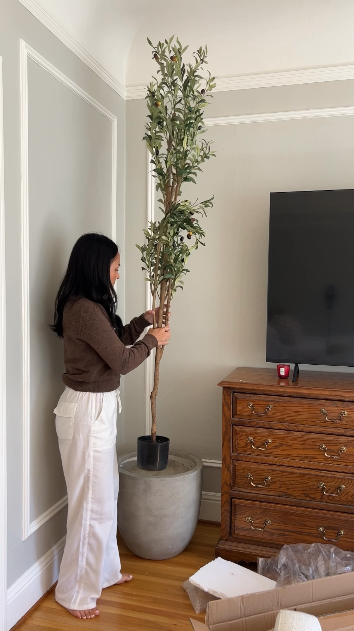 Amazon olive tree 

#LTKHome