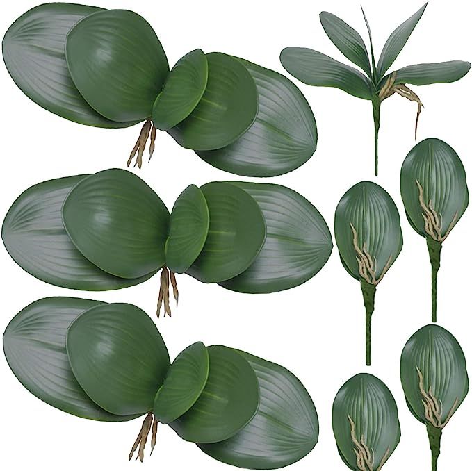FagusHome 8 PCS Artificial Phalaenopsis Orchids Leaves 11 inches Green Faux Orchids Leaf (8 Pcs) | Amazon (US)