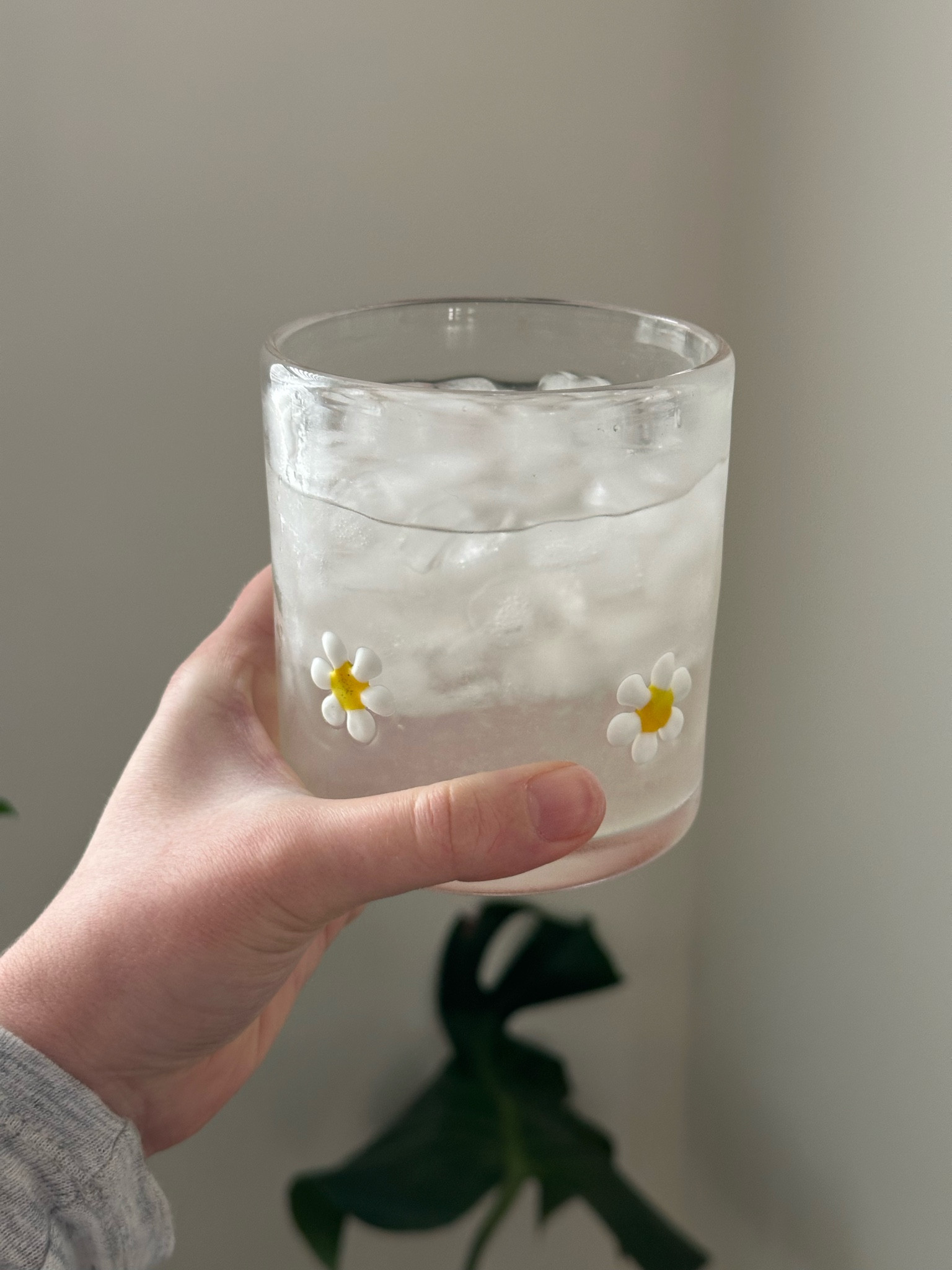 Sweetest daisy 🌼 glassware for spring! They sell a matching pitcher as well 🫖 

#LTKSeasonal #LTKSpringSale #LTKhome