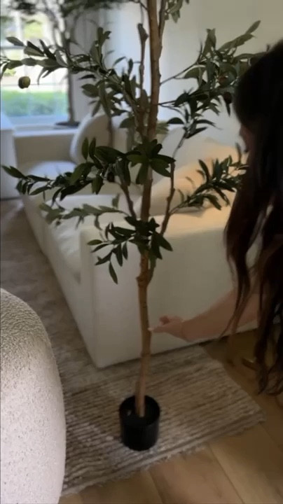 Trend Alert! 🔥 Get the look of the viral Amazon planters.

#LTKhome #amazonfinds #viralfinds #planters #amazonhome #homedecor #ltkit

#LTKHome #LTKSeasonal #LTKdayinmylife