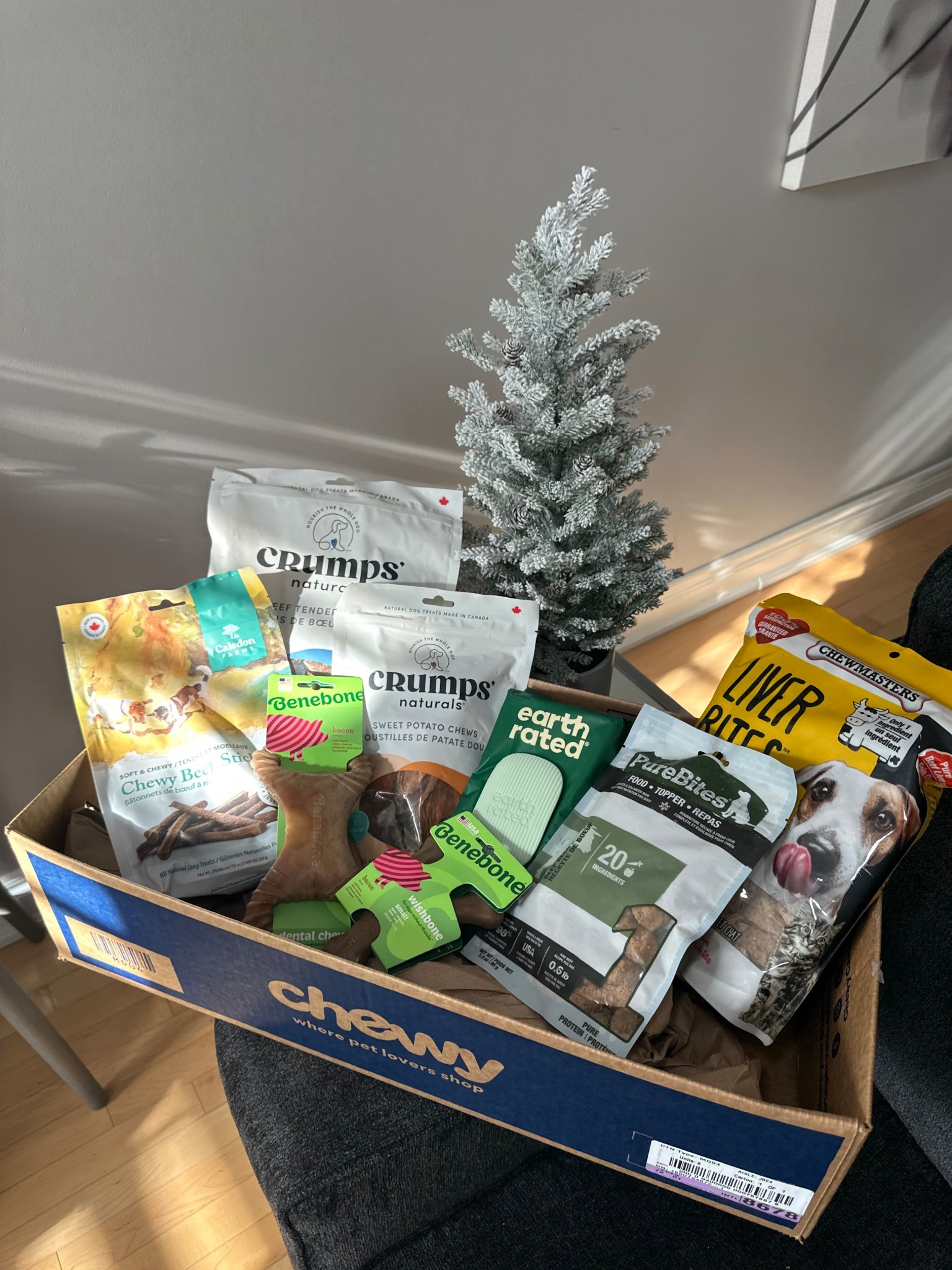 Top winter essentials for your dog! 🐶✨❄️

When shopping these products use code STELLA10 at checkout 

#LTKFindsUnder50 #LTKGiftGuide #LTKSeasonal