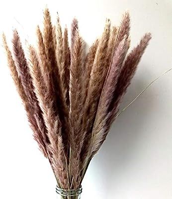 KABOGINS Natural Dried Bundle of Small Pampas Grass Plants | Home Business Wedding Décor | Dried... | Amazon (US)