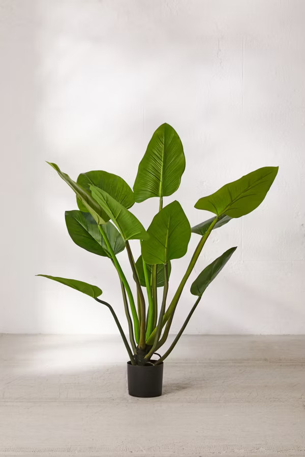 Eva Curcuma Potted Faux Tree | Urban Outfitters (US and RoW)