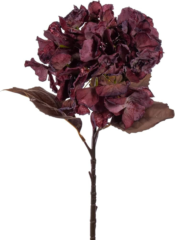 Vickerman 18.5" Light Burgundy Artificial Dried Hydrangea Spray, 2 per Bag. | Amazon (US)