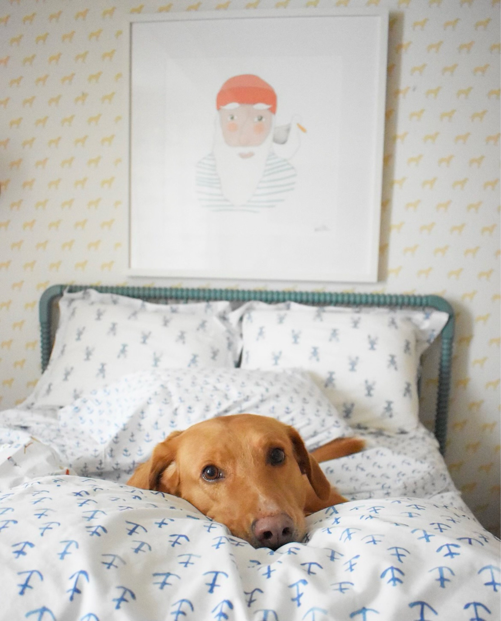 Sara Fitz’s dog Murray looking very much like Noodle here!! 