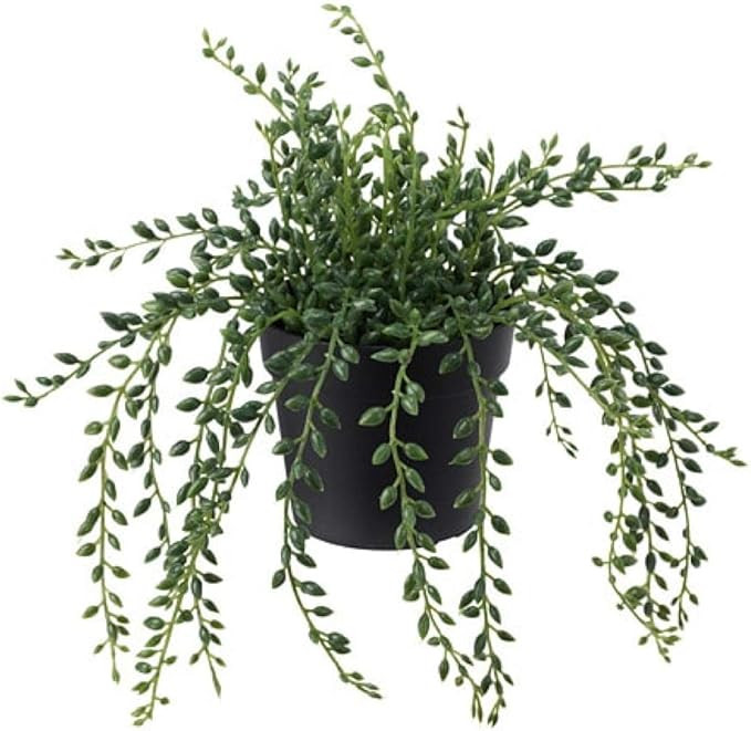 IKEA Fejka Artificial Potted Plant Indoor Outdoor String of Beads 303.953.40 Size 3 ½" | Amazon (US)