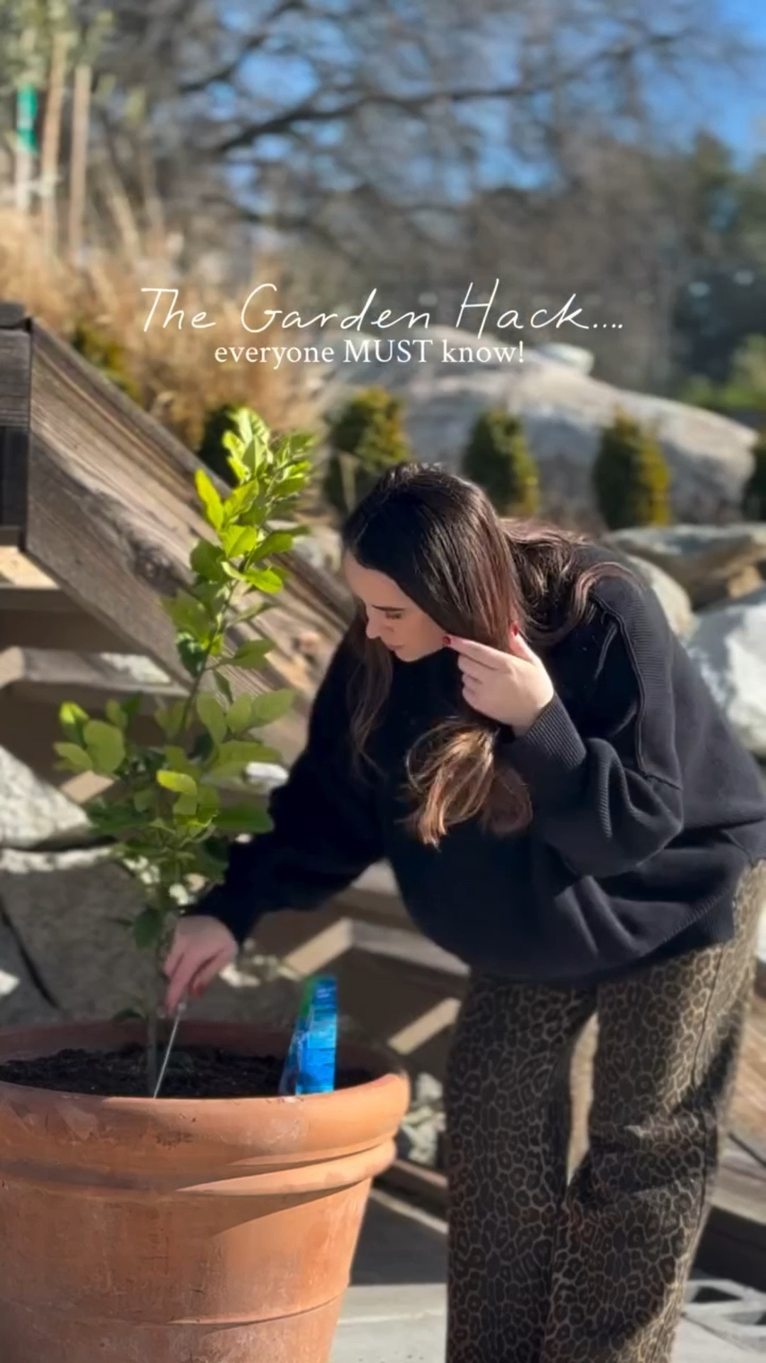 From Pinterest board to real life garden moment! 👩🏻‍🌾🪏🪴

Comment SHOP and I’ll send you the links! 

I feel like these little babies are going to be GAME CHANGER this summer! It gets so hot here so to think these beads will hold in moister and continue to water the plants (even when I forget too!) my mind is blown! I should have shown them to you when I left them in water over night they were massive!  I spent all weekend adding them to all different kind of plants in the landscape, so hoping this year everything takes off!

BRB back to gardening because this weather in California is way too nice right now! 🪏🪴🫜👩🏻‍🌾