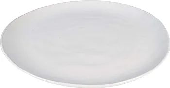 by Fitz and Floyd Organic 10.75 Inch Dinner Plates, Set of 4 | Amazon (US)