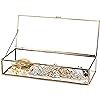 Vintage Style Brass Metal & Clear Glass Mirrored Shadow Box Jewelry Display Case w/Hinged Top Lid | Amazon (US)