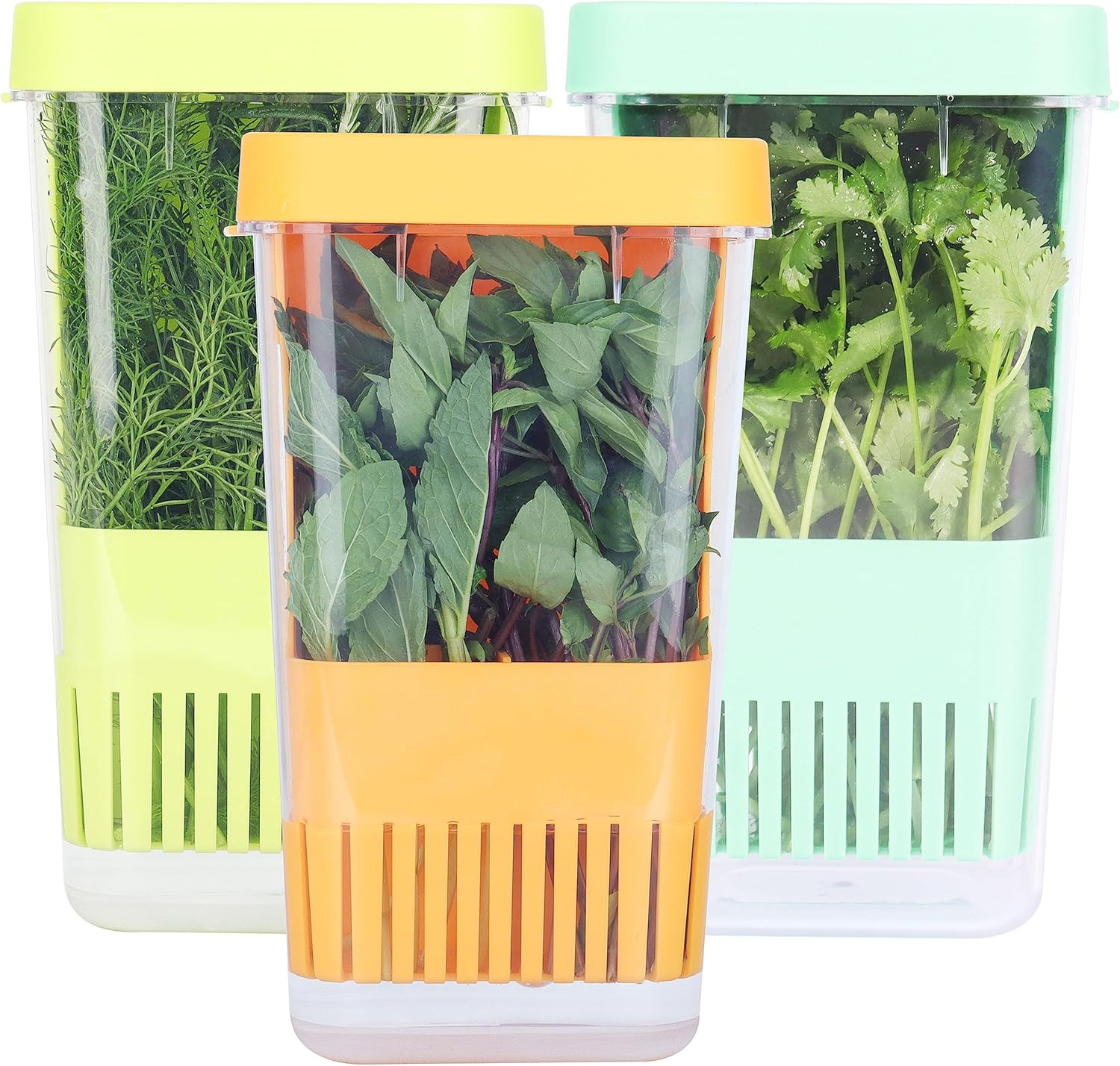 3 Pack Fresh Herb Keeper for Refrigerator, Clear BPA-Free Herb Saver, Storage Container for Cilan... | Amazon (US)