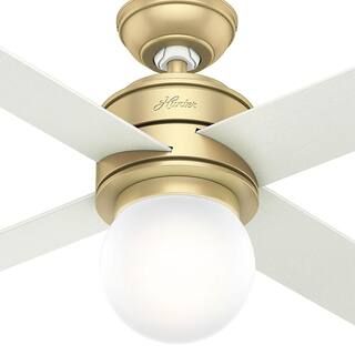 Hunter Hepburn 52 in. LED Indoor Modern Brass Ceiling Fan 59320 | The Home Depot
