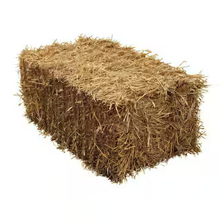 Straw Bale Full Size | The Home Depot