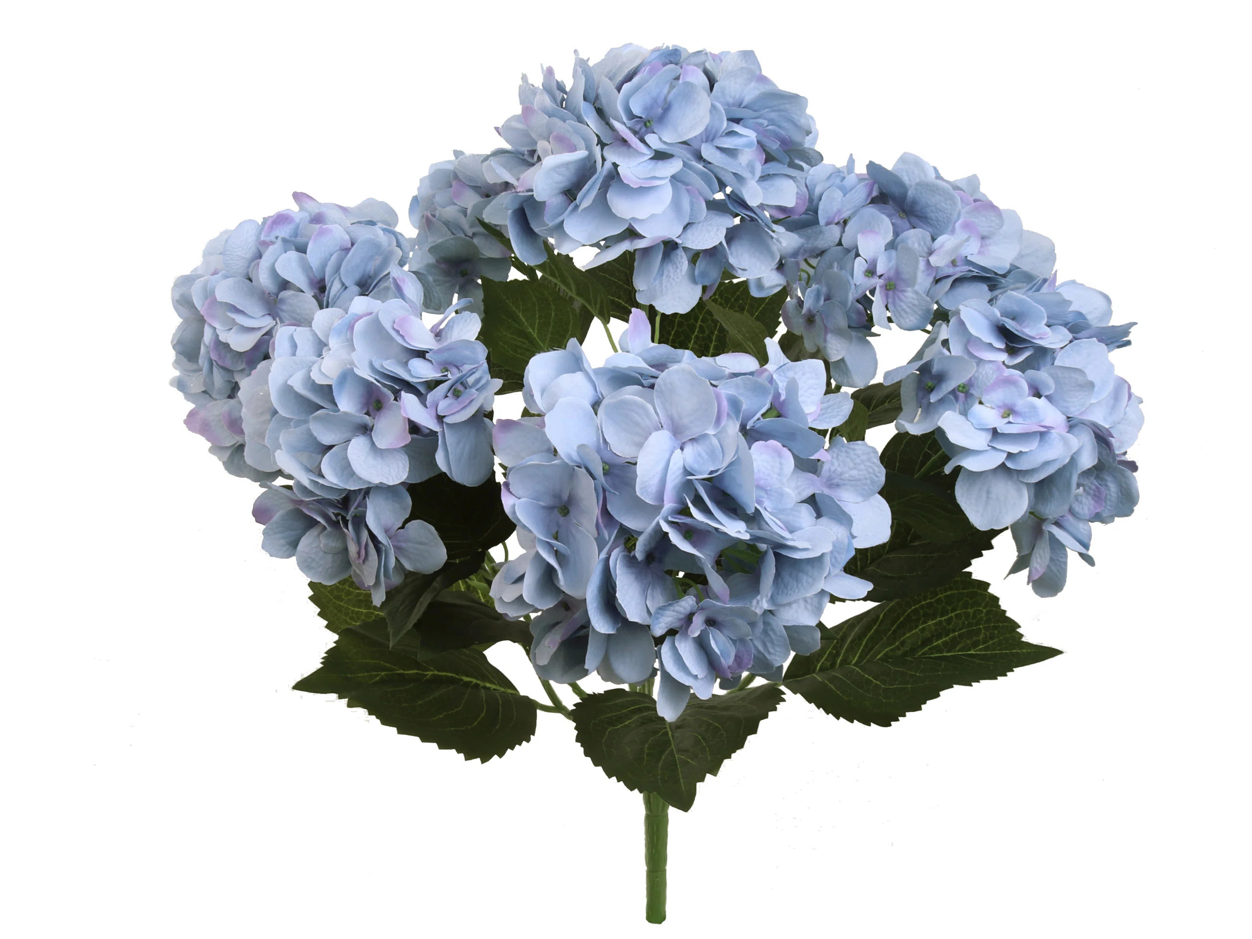 Hydrangea Bush | Wayfair North America
