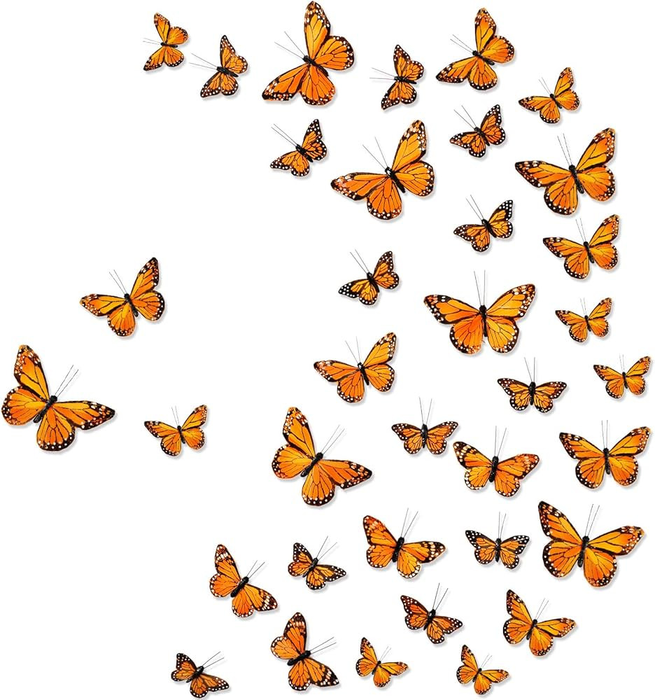 Chuangdi Mardi Gras Feather Monarch Butterfly Decoration 3 Size Fake Butterfly Realistic Butterfl... | Amazon (US)