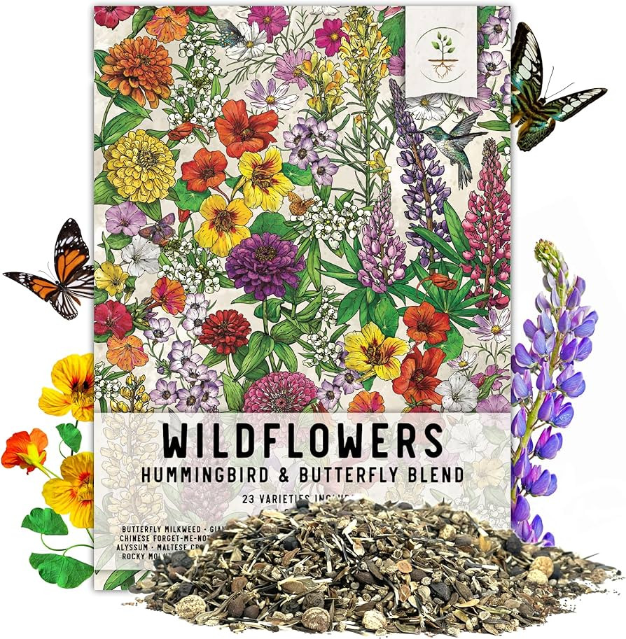 Seed Needs, Large 2 Ounce Package of 30,000+ Hummingbird and Butterfly Garden Wildflower Seed Mix... | Amazon (US)