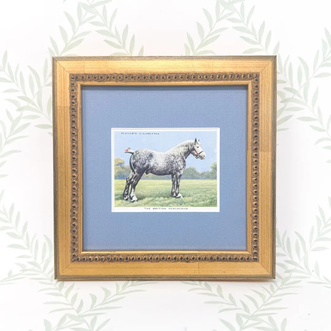 Framed Vintage Horse Cigarette Card C. 1939, British Percheron - Etsy | Etsy (US)