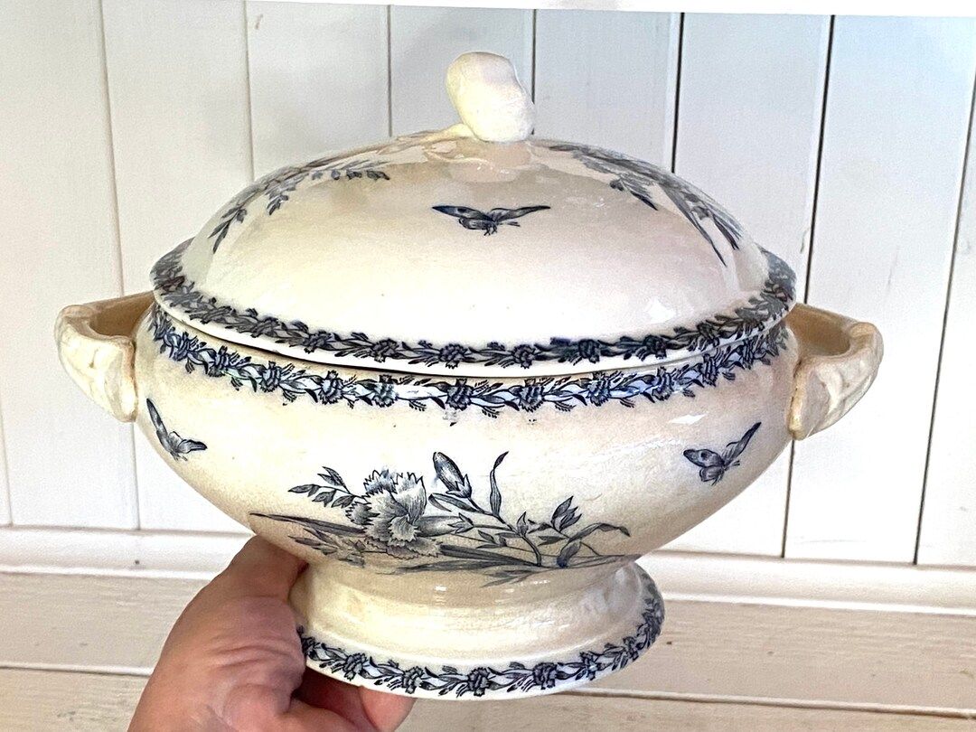 Lovely Vintage French Ironstone Blue Butterfly Floral Transferware Tureen - Etsy | Etsy (US)