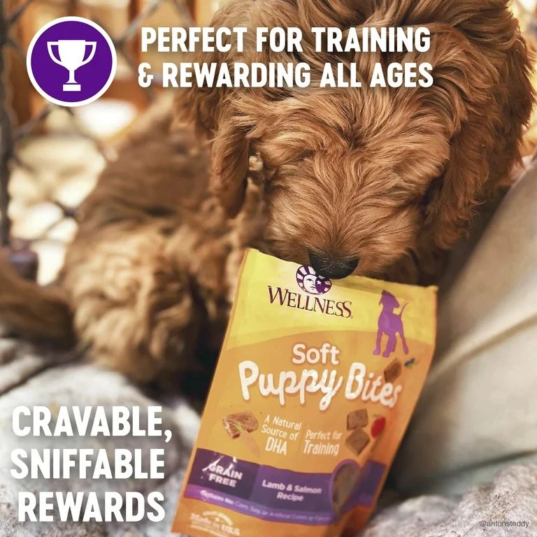 Wellness Puppy Bites Healthy Grain Free Soft Puppy Treats, Lamb & Salmon, 3 Ounce Bag | Walmart (US)