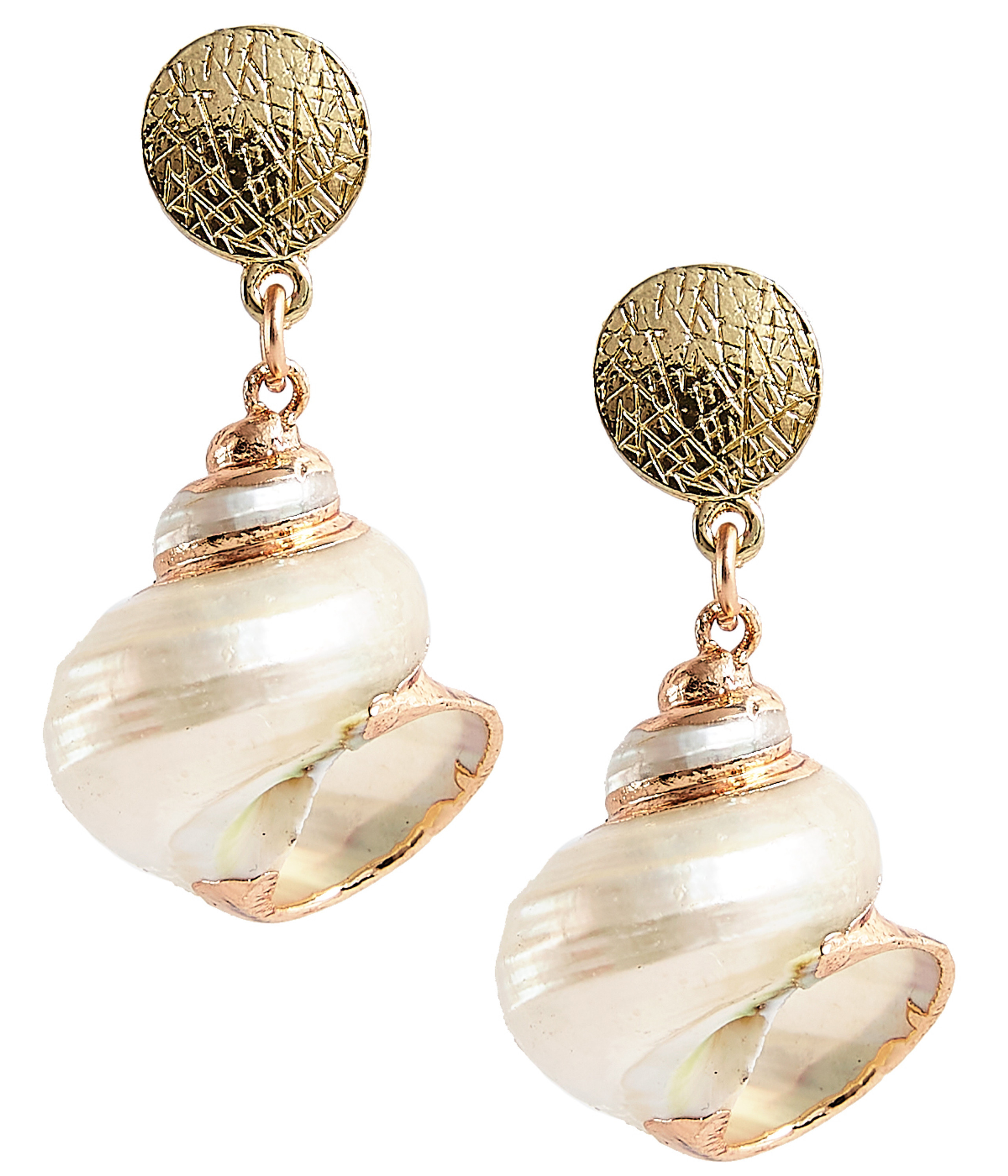 Delray - White Shell - Earring | Lisi Lerch Inc