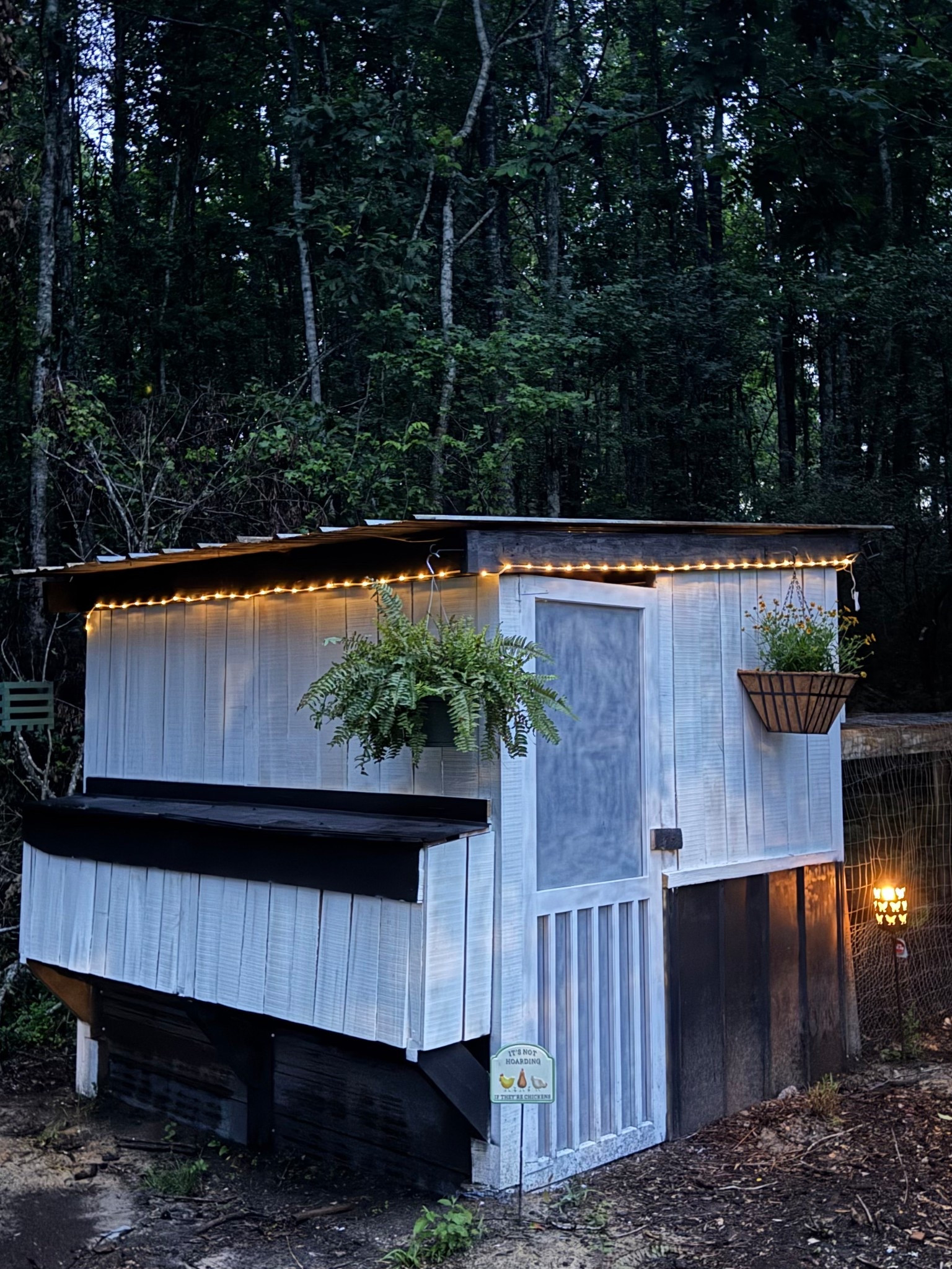 Chicken coop lights 😍😍