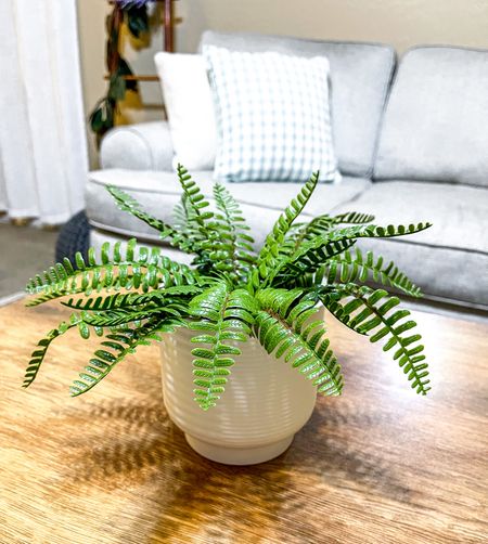 $5 Target finds: artificial plant and ceramic planter. 




Target home, home decor, Target planters, spring decor 

#LTKSeasonal #LTKfindsunder50 #LTKhome