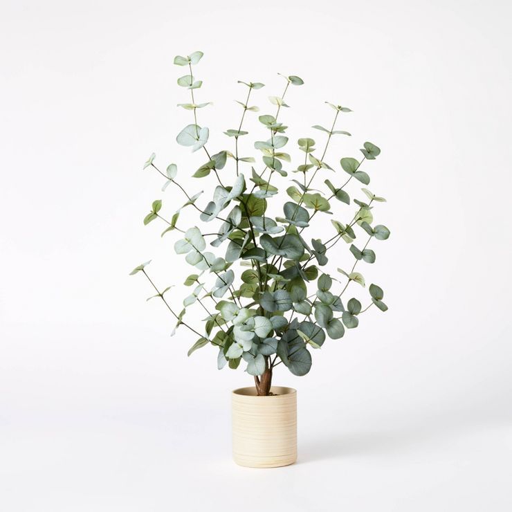 Medium Eucalyptus in Pot - Threshold&#8482; designed with Studio McGee | Target