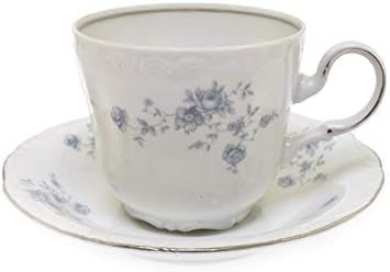 Johann Haviland Blue Garland Bavaria Germany Cup and Saucer | Amazon (US)