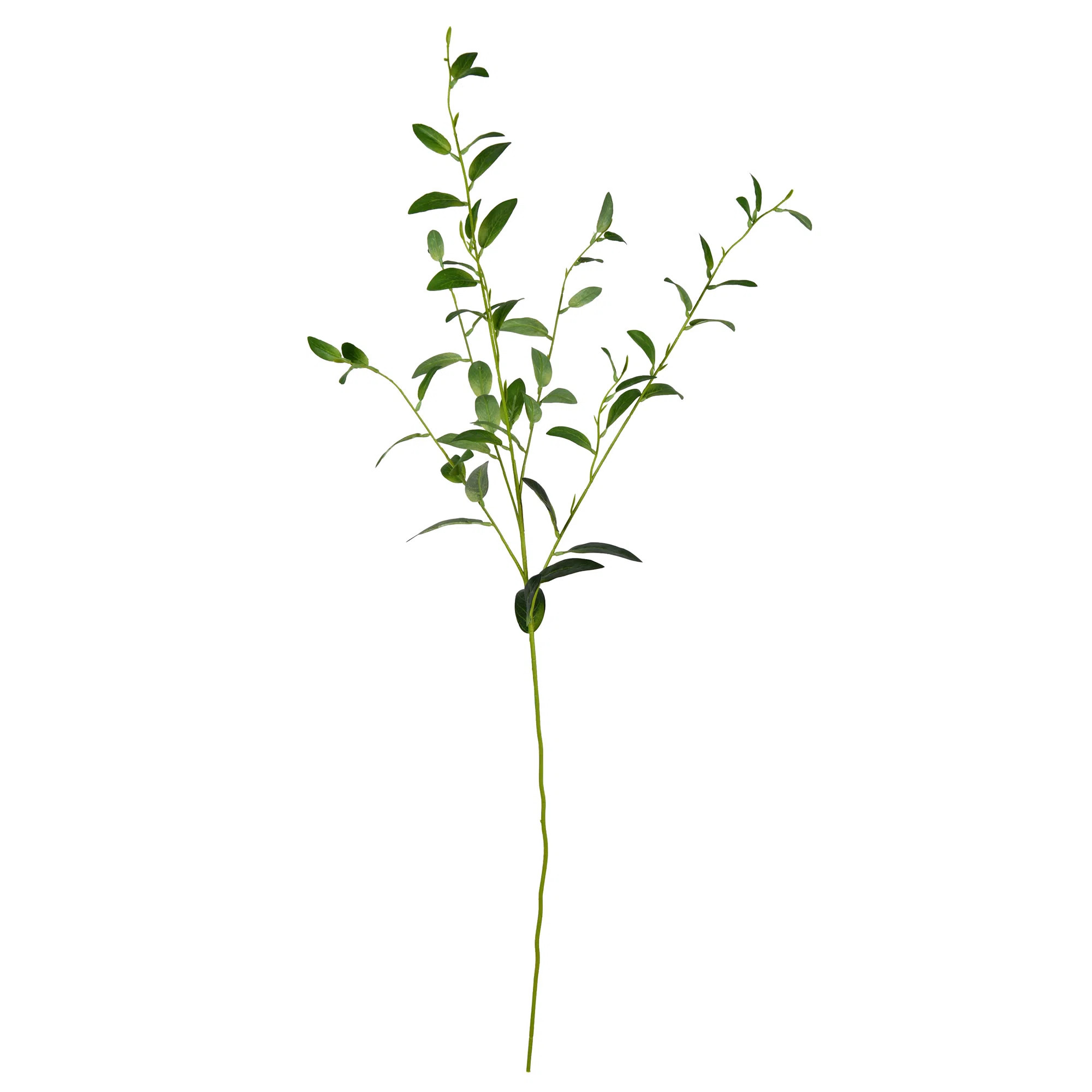 Leaf Arrangement | Wayfair North America